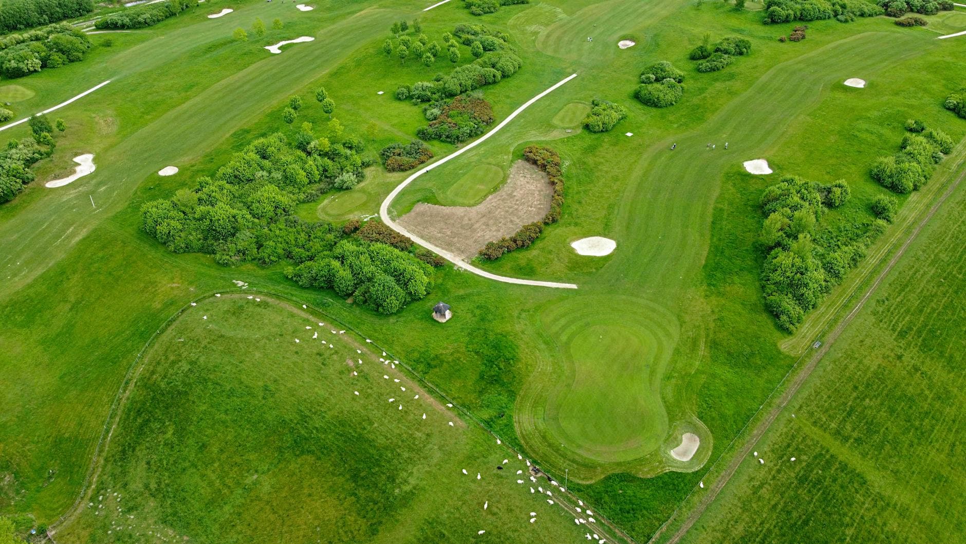 Shinnecock Hills: America's Oldest Golf Club