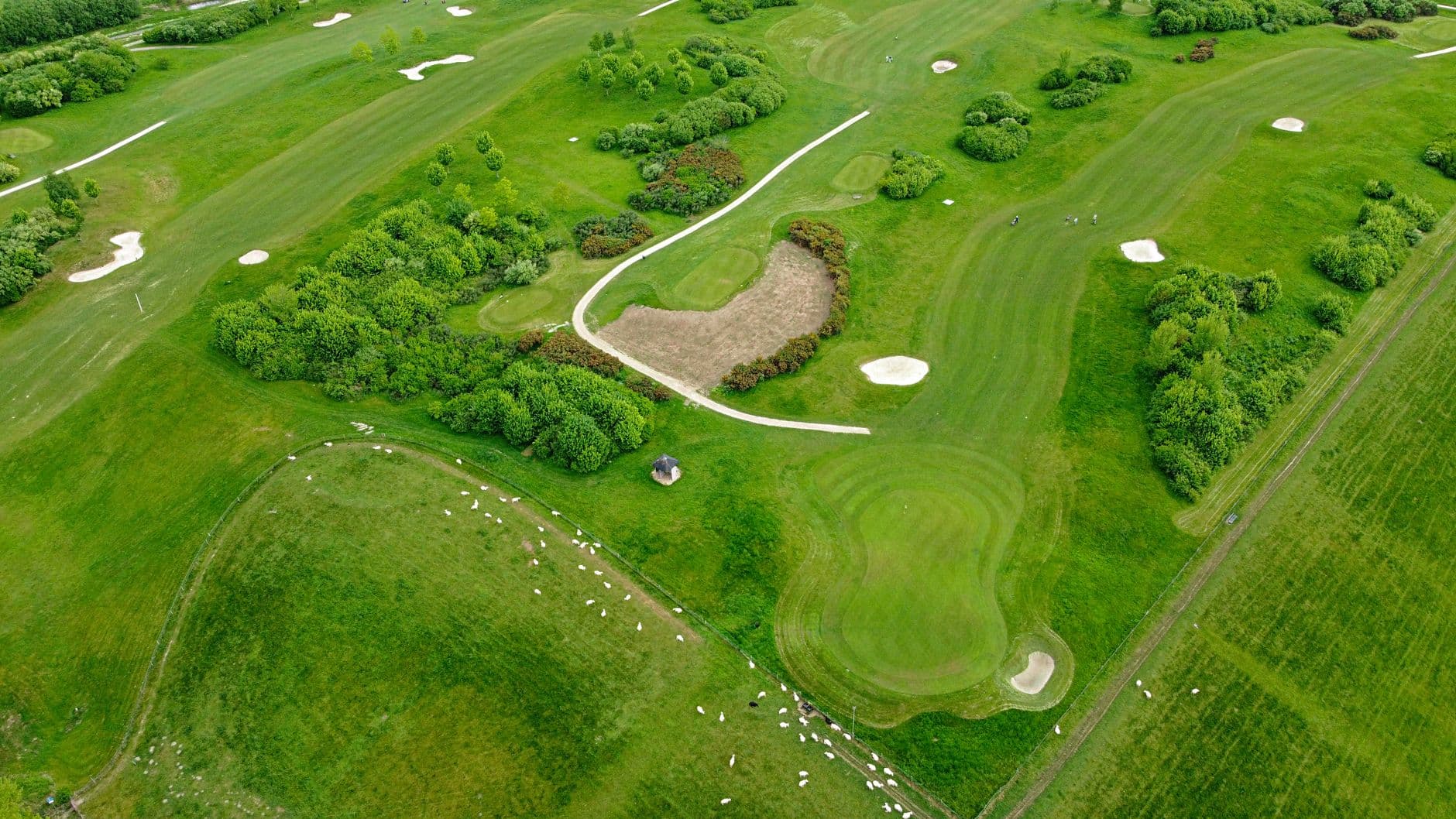 Carnoustie: The Open's Most Brutal Links Test