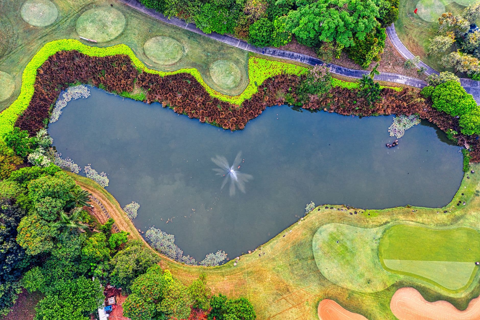 Evian Championship: Mastering Alpine Golf's Toughest Test